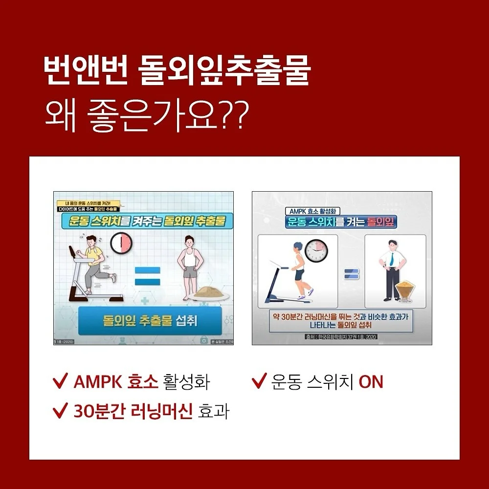 웨딩 영상 15