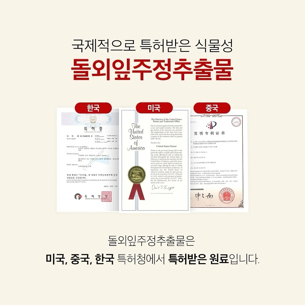 웨딩 영상 16