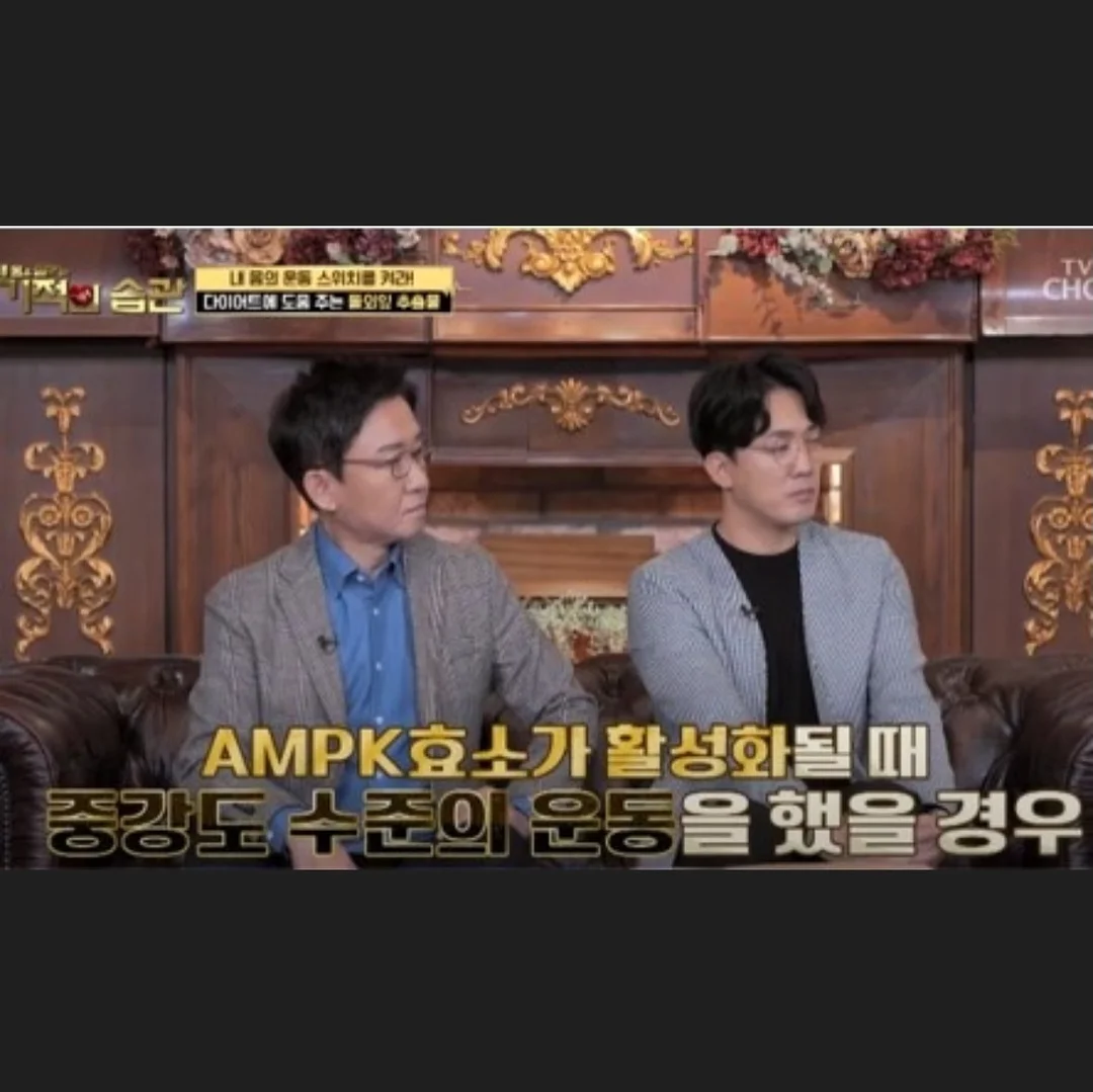 웨딩 영상 5