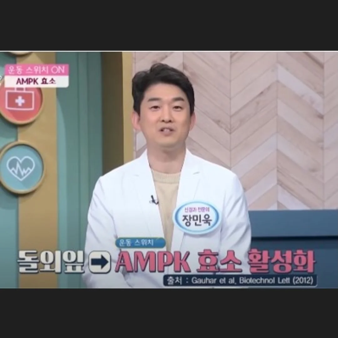 웨딩 영상 8