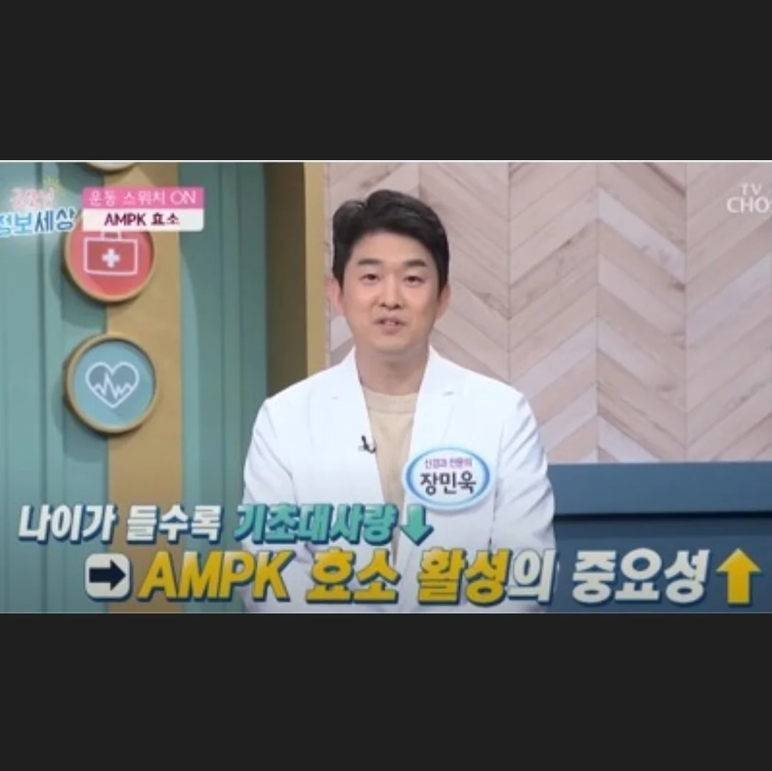 웨딩 영상 10