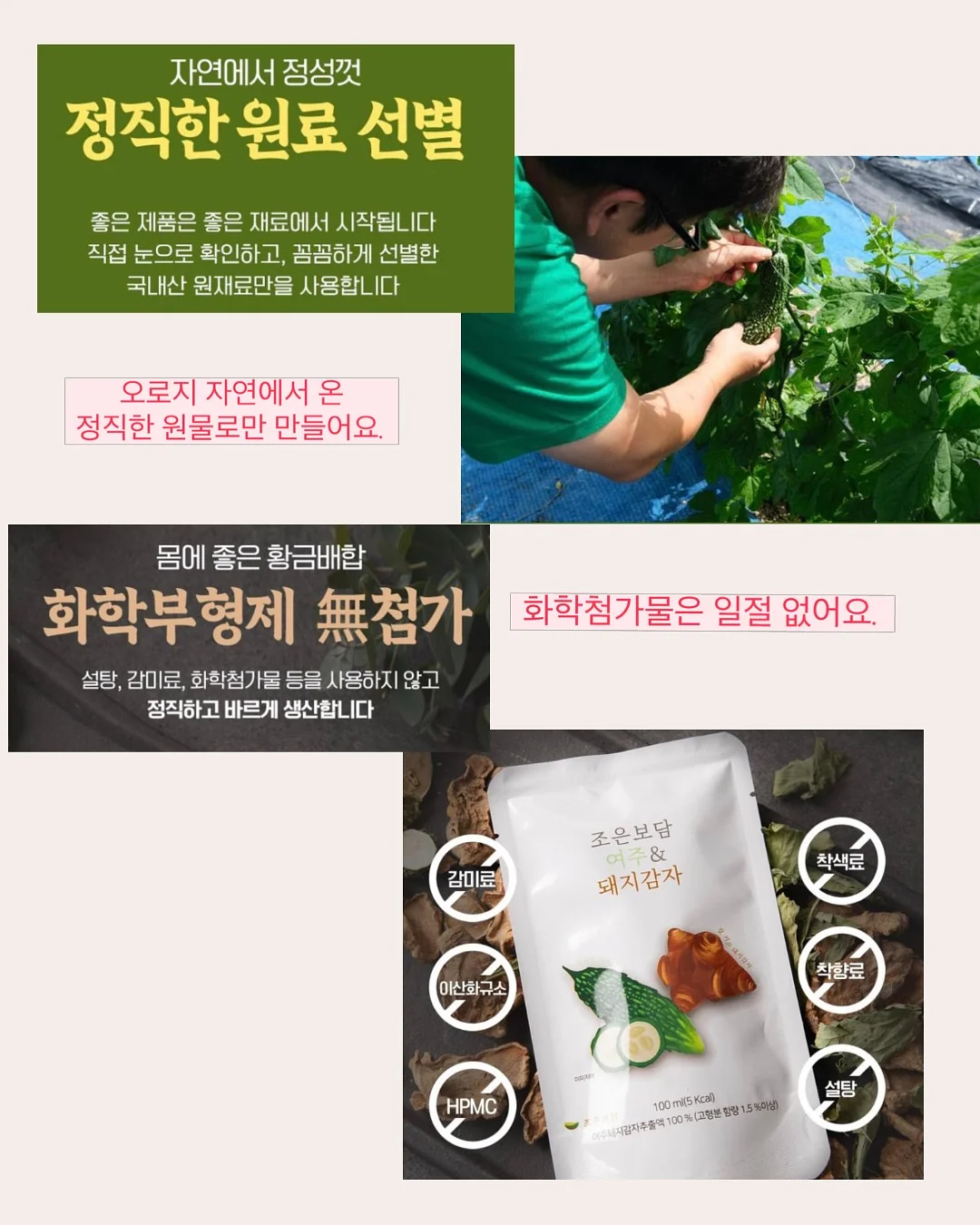 레드 체크 레이스 11