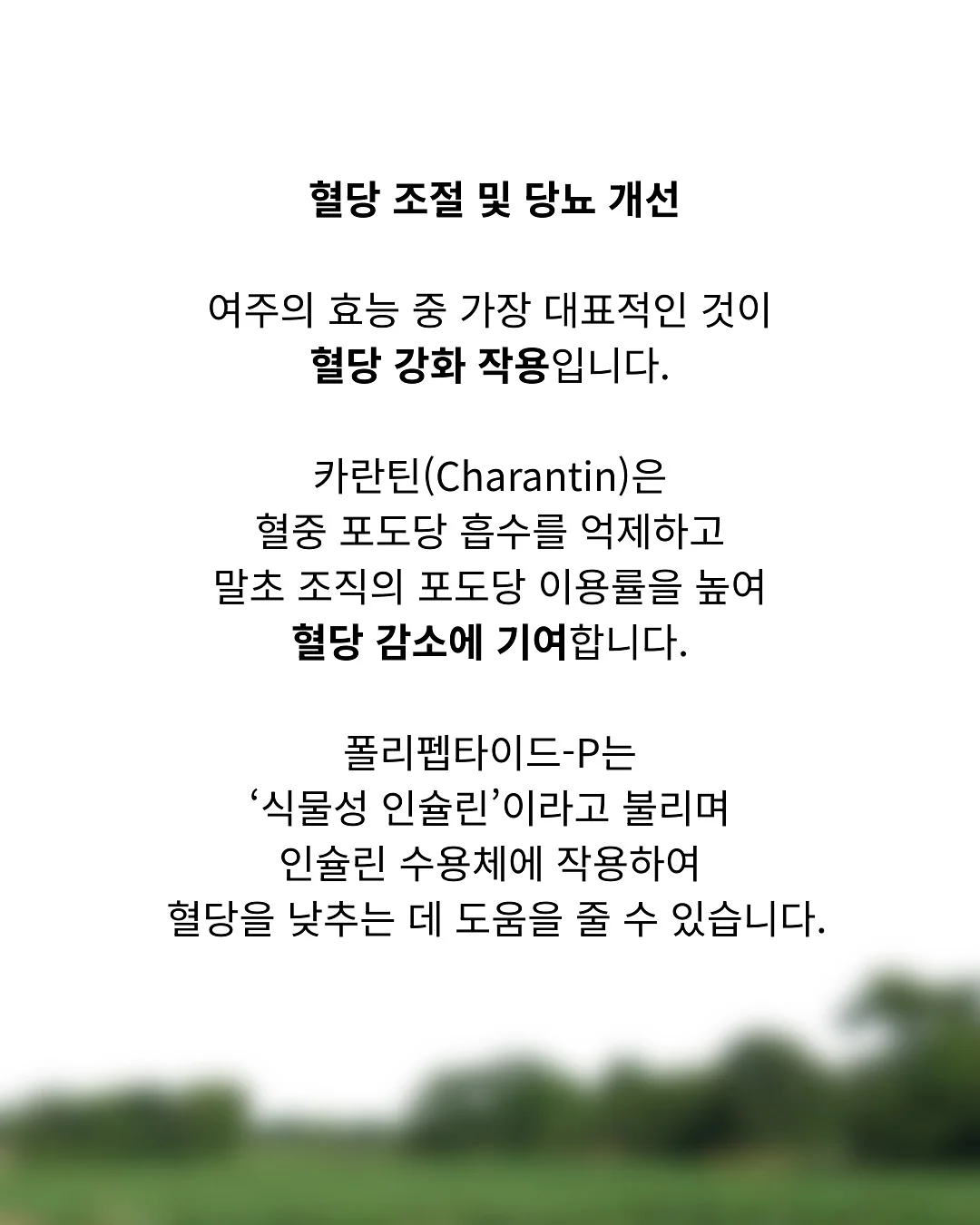 레드 체크 레이스 2