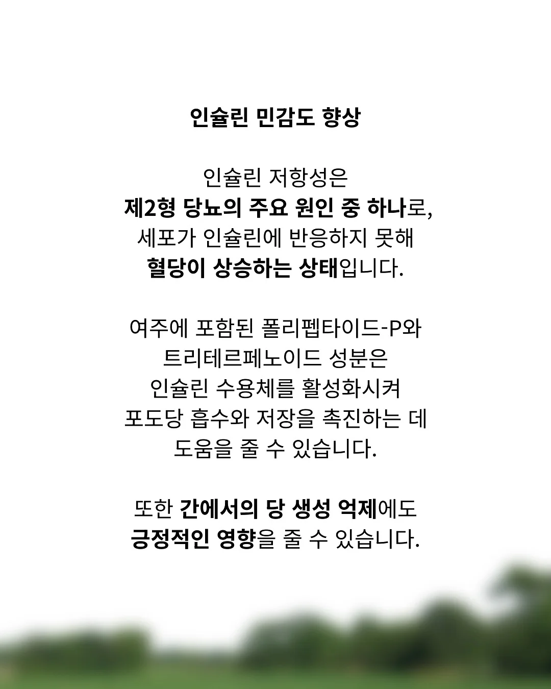 레드 체크 레이스 3