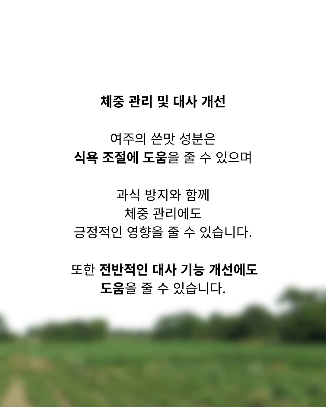 레드 체크 레이스 5
