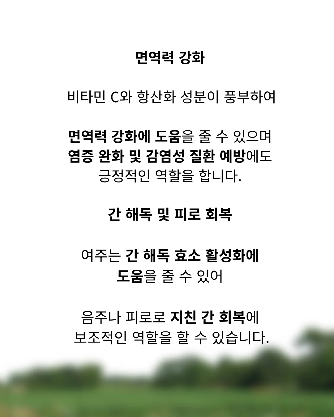 레드 체크 레이스 6