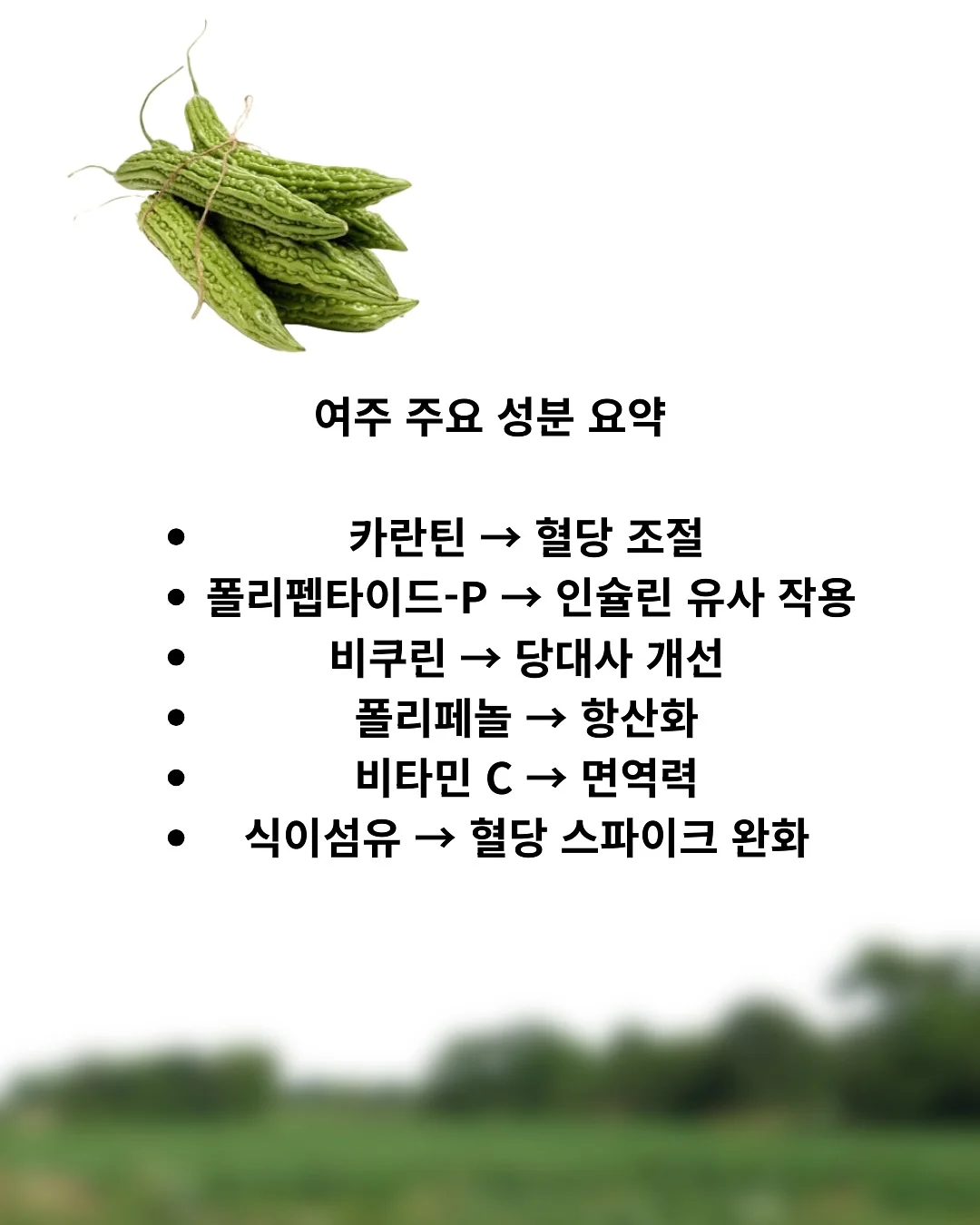 레드 체크 레이스 7