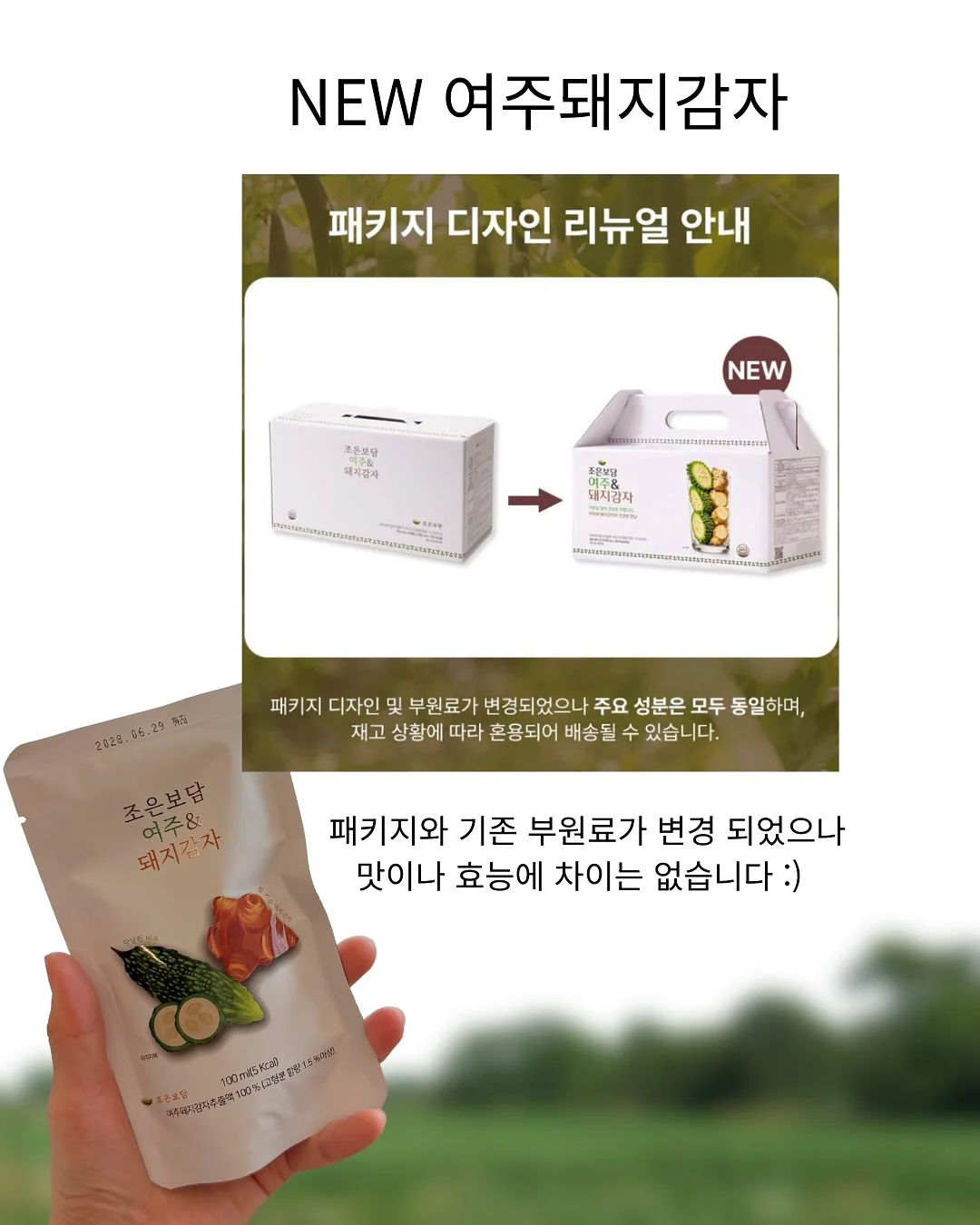 레드 체크 레이스 8