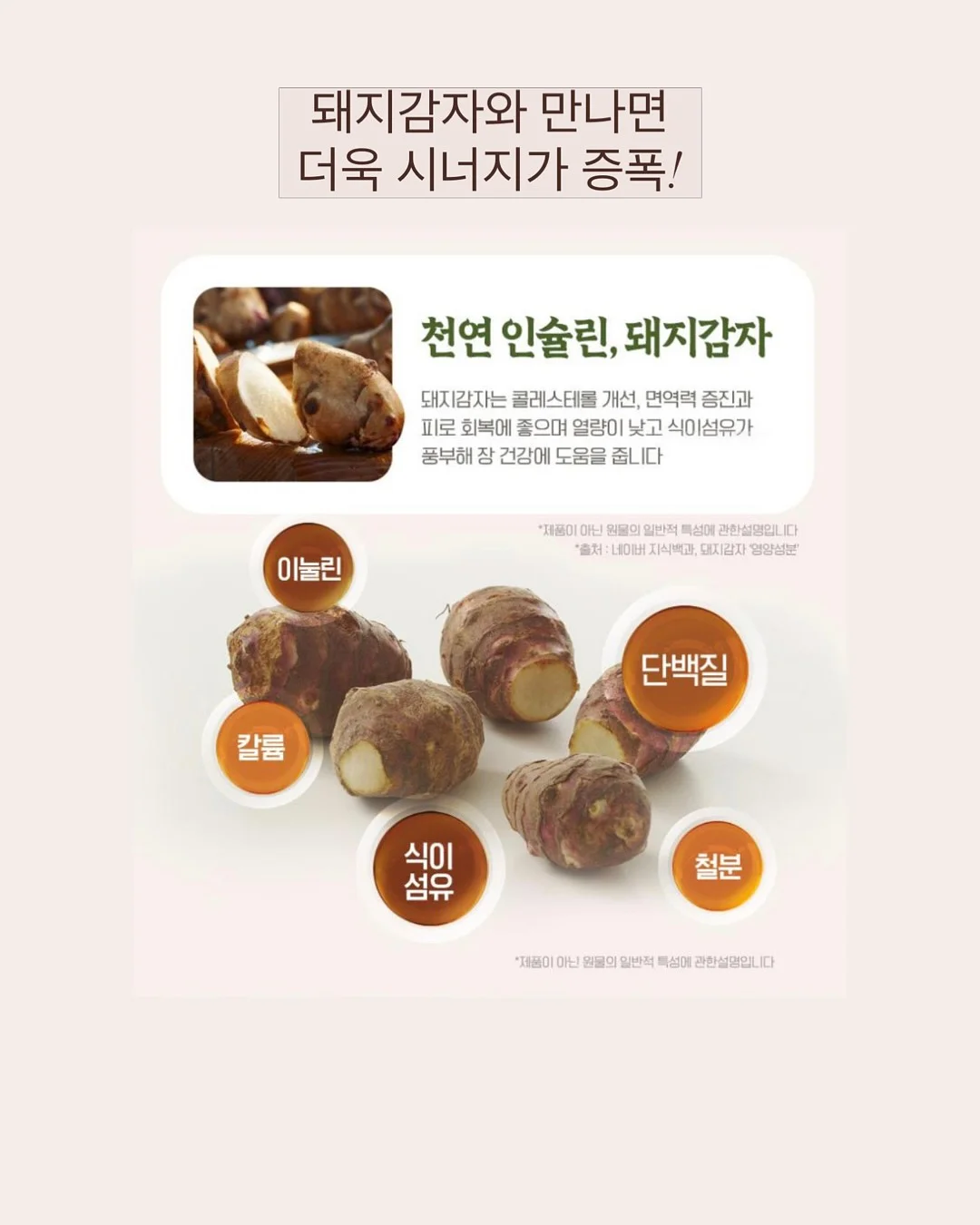 레드 체크 레이스 10