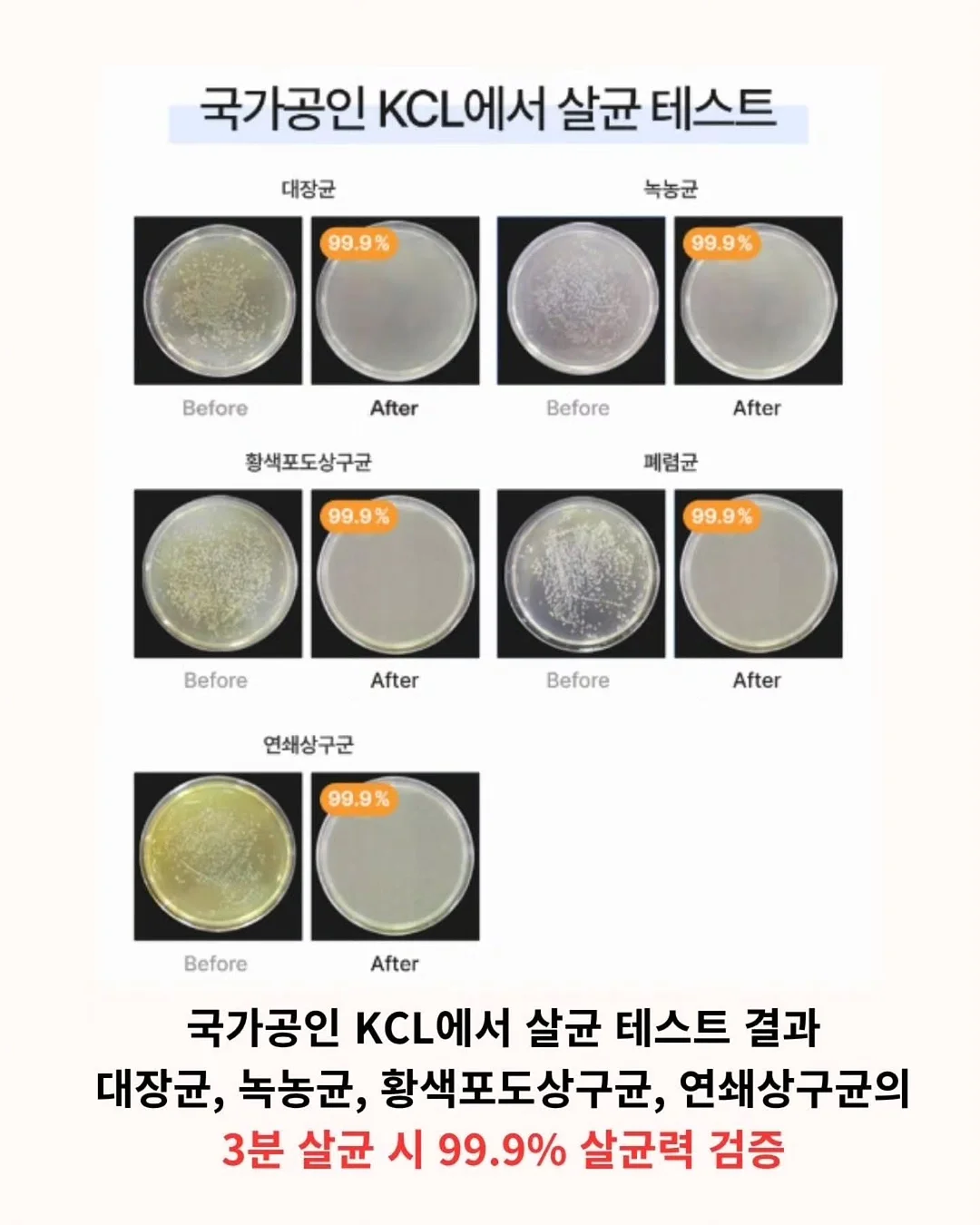스탈리시템 6