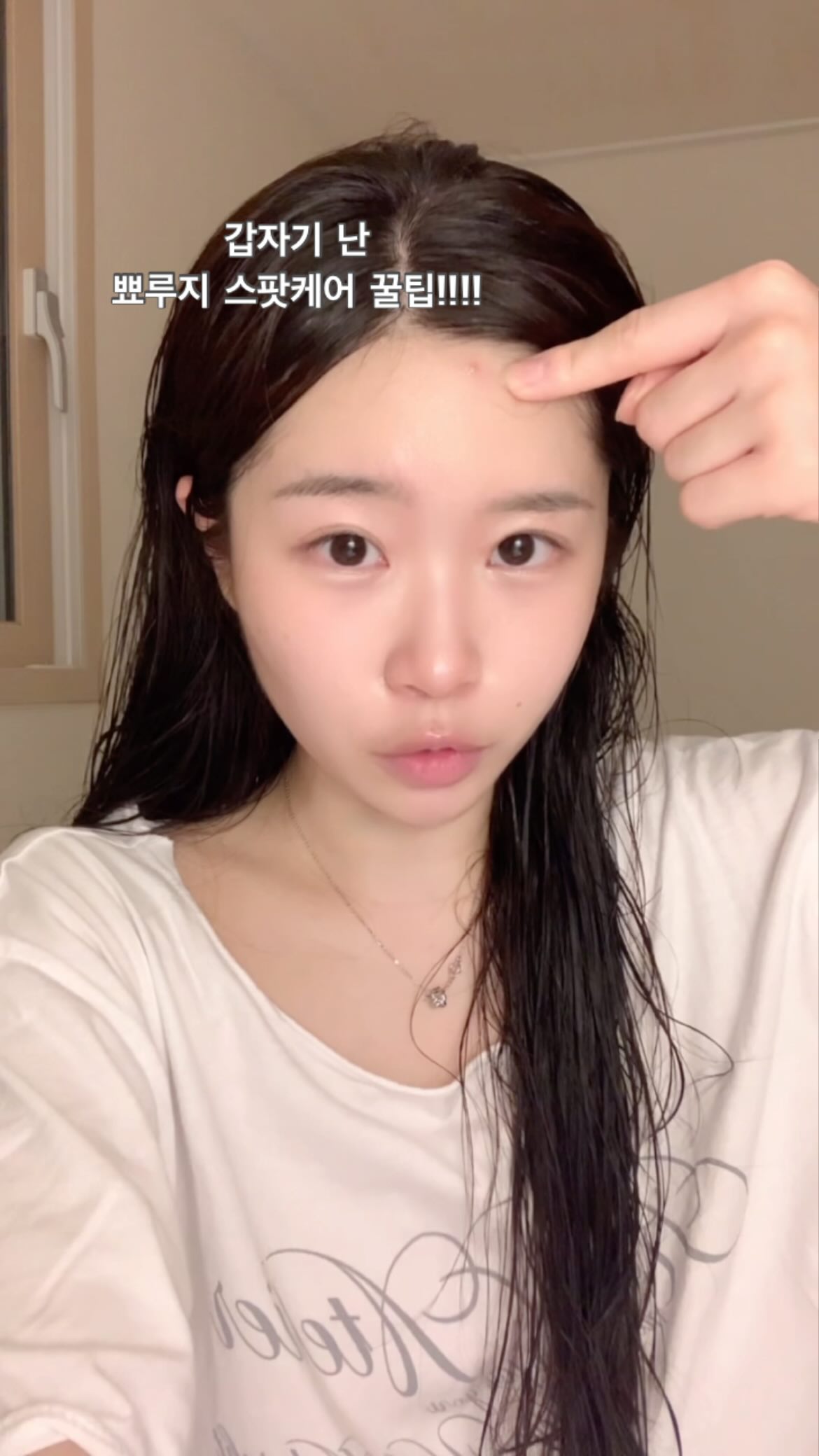 커리쉴 오일