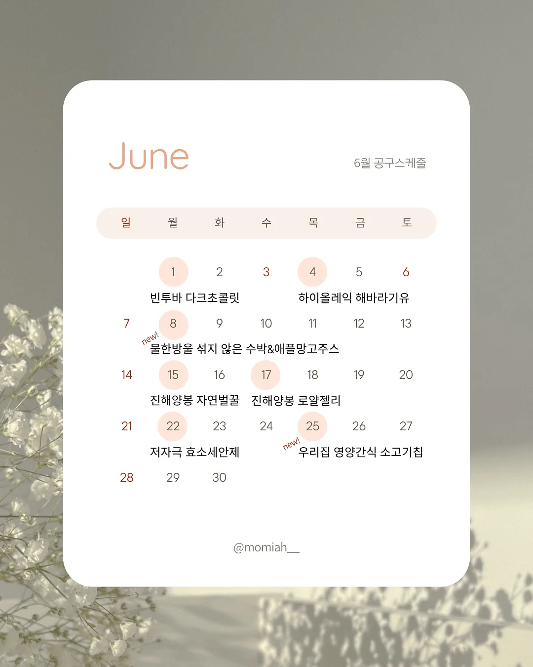 차량 인테리어 디테일링 서비스 1