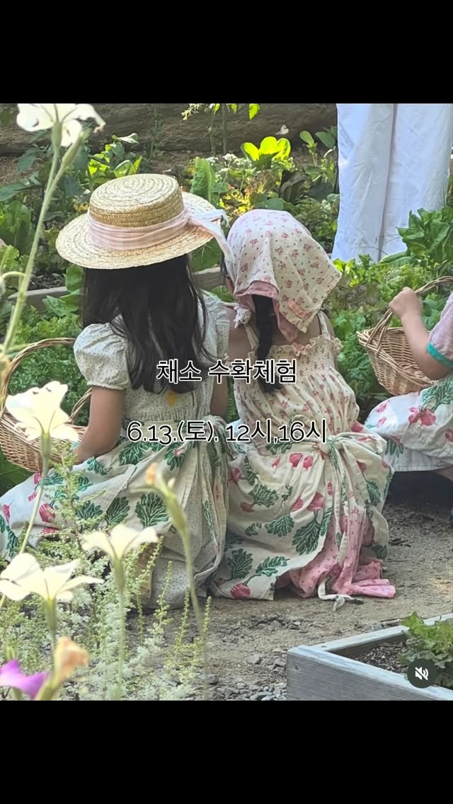 소라칼라 고사리