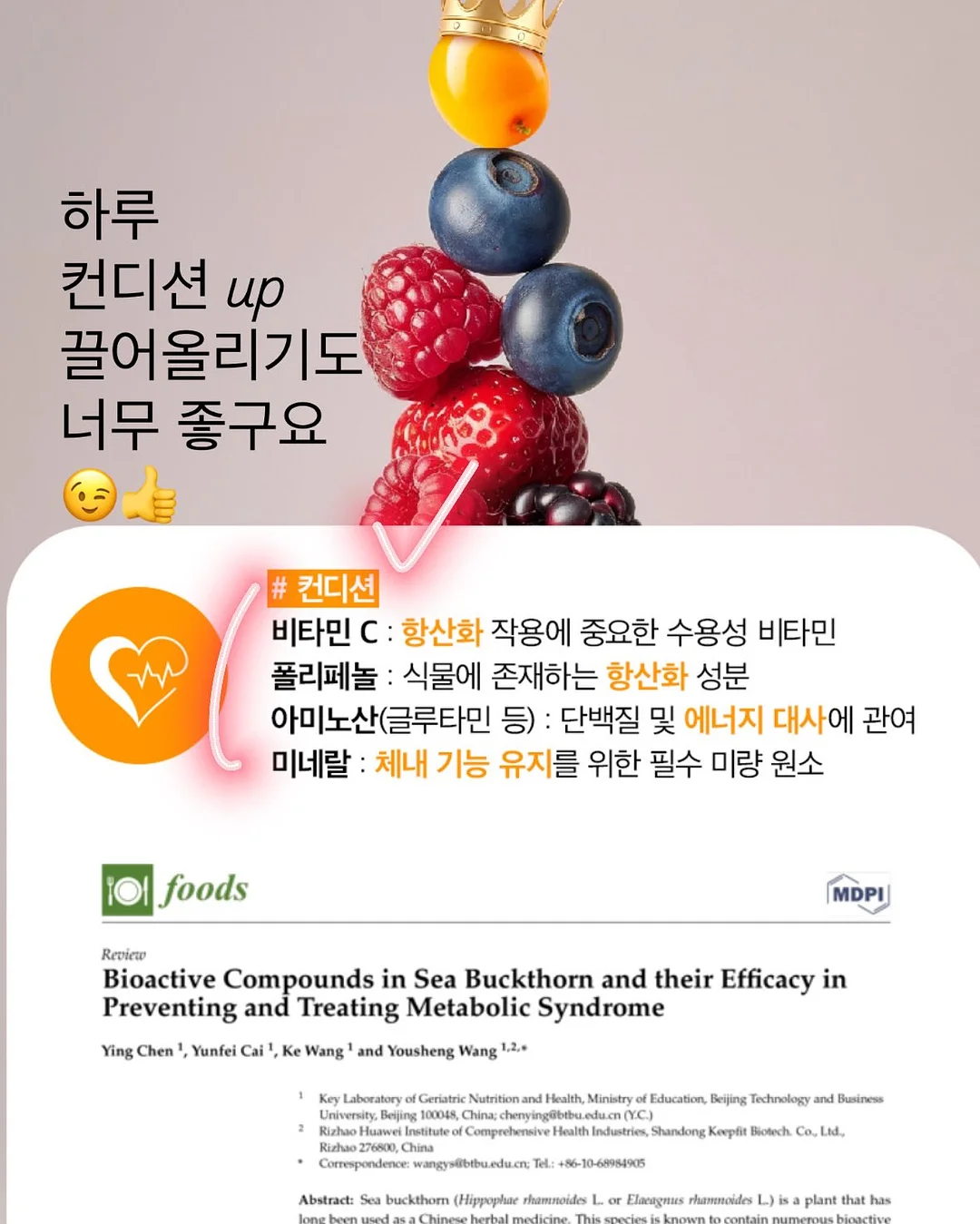 트리오 곡물설거지 3종 13