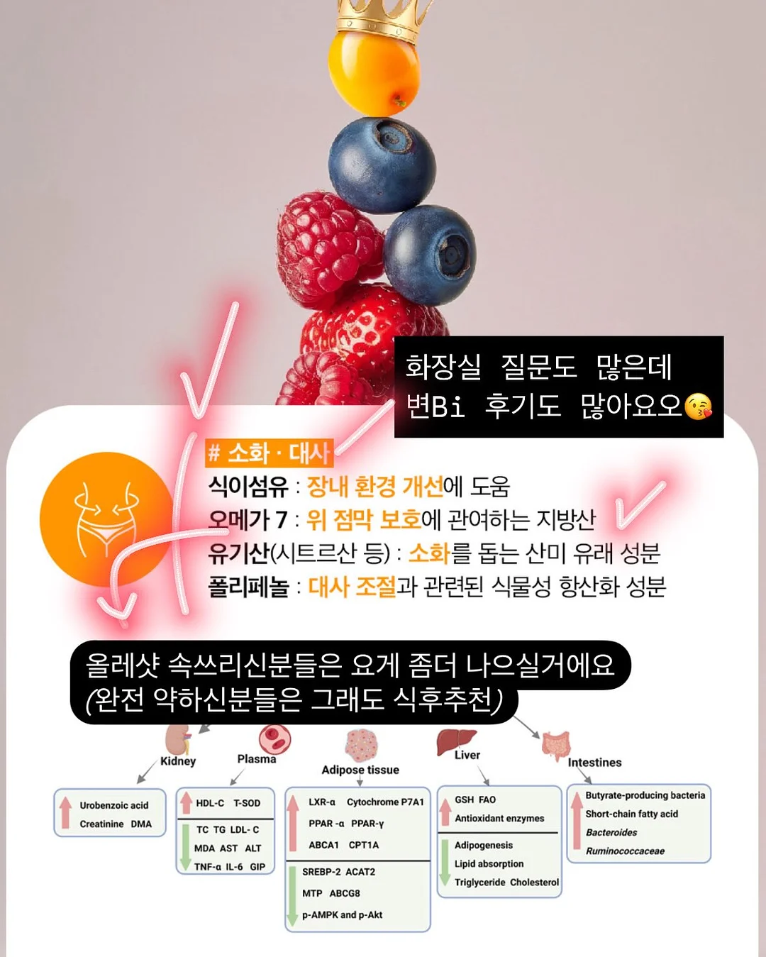트리오 곡물설거지 3종 17