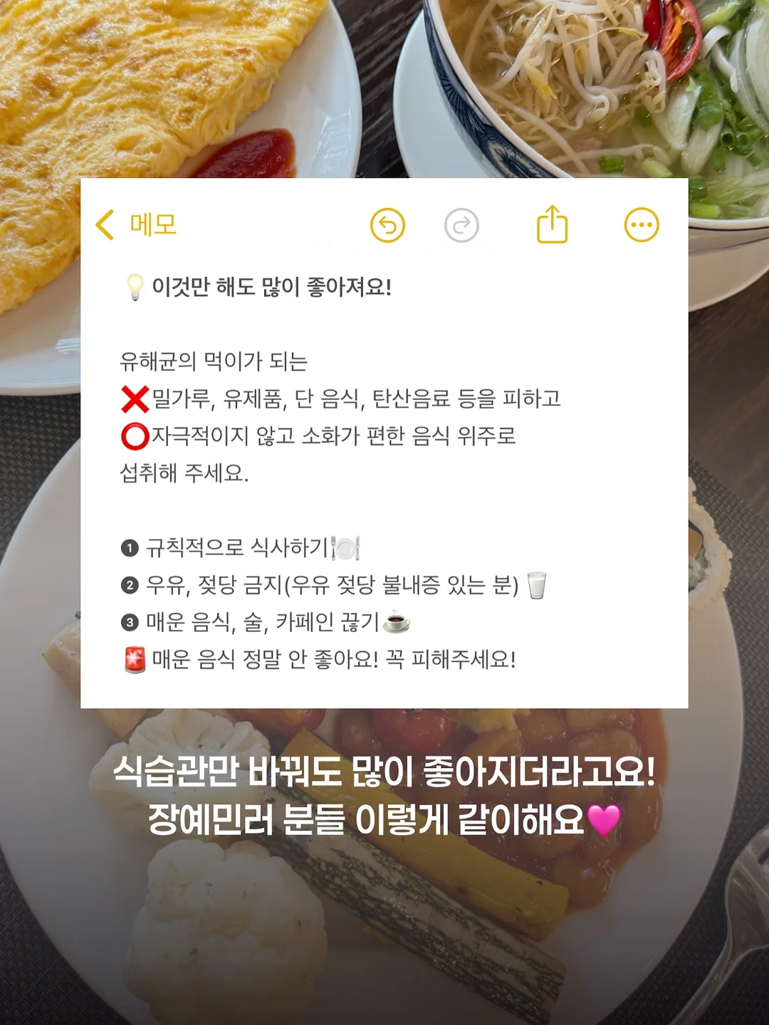 키머즈 캐리어 5