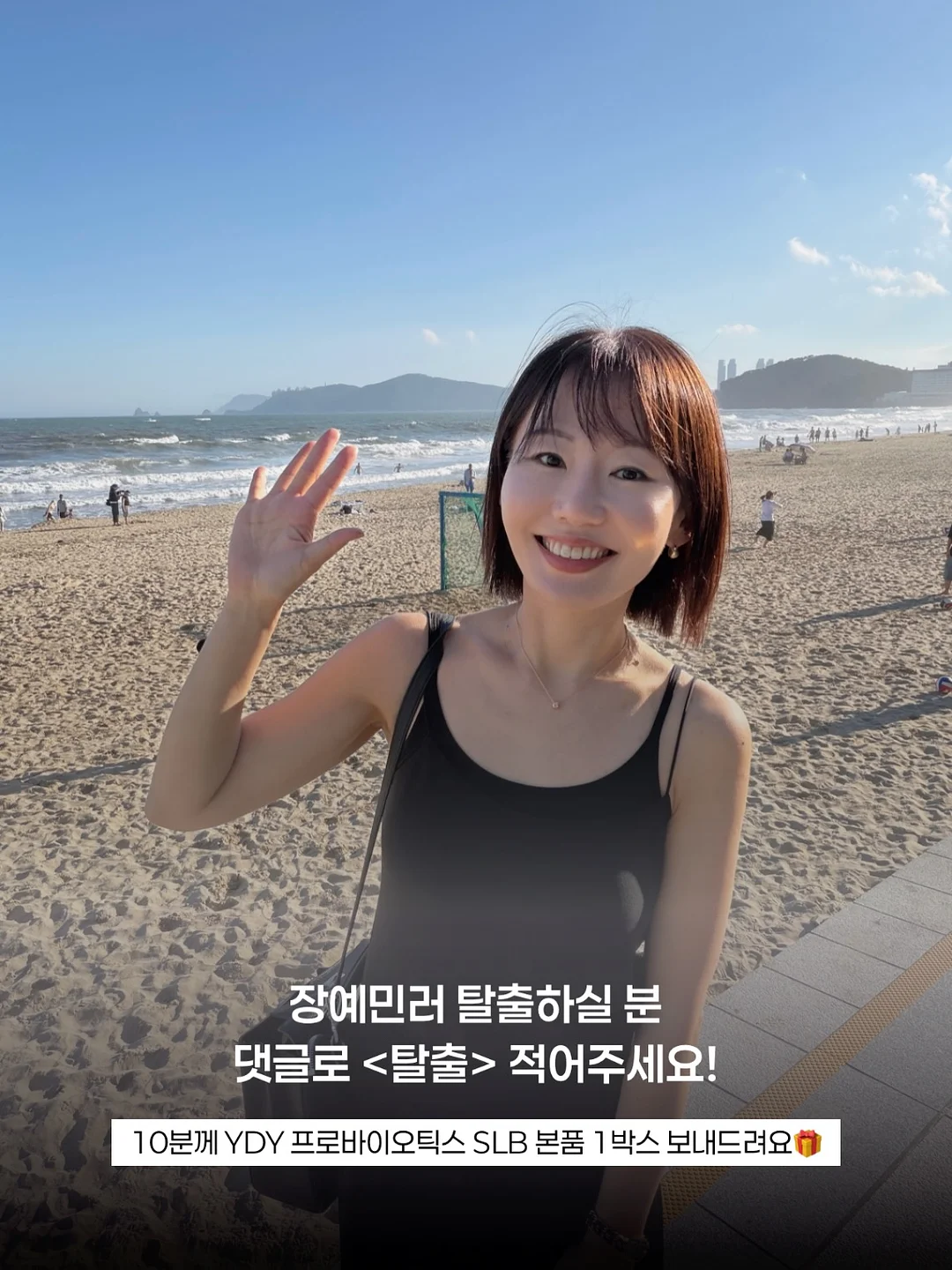 키머즈 캐리어 6