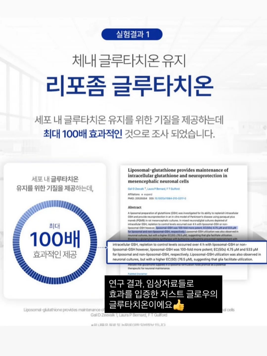 로엠 시스루 스커트 12