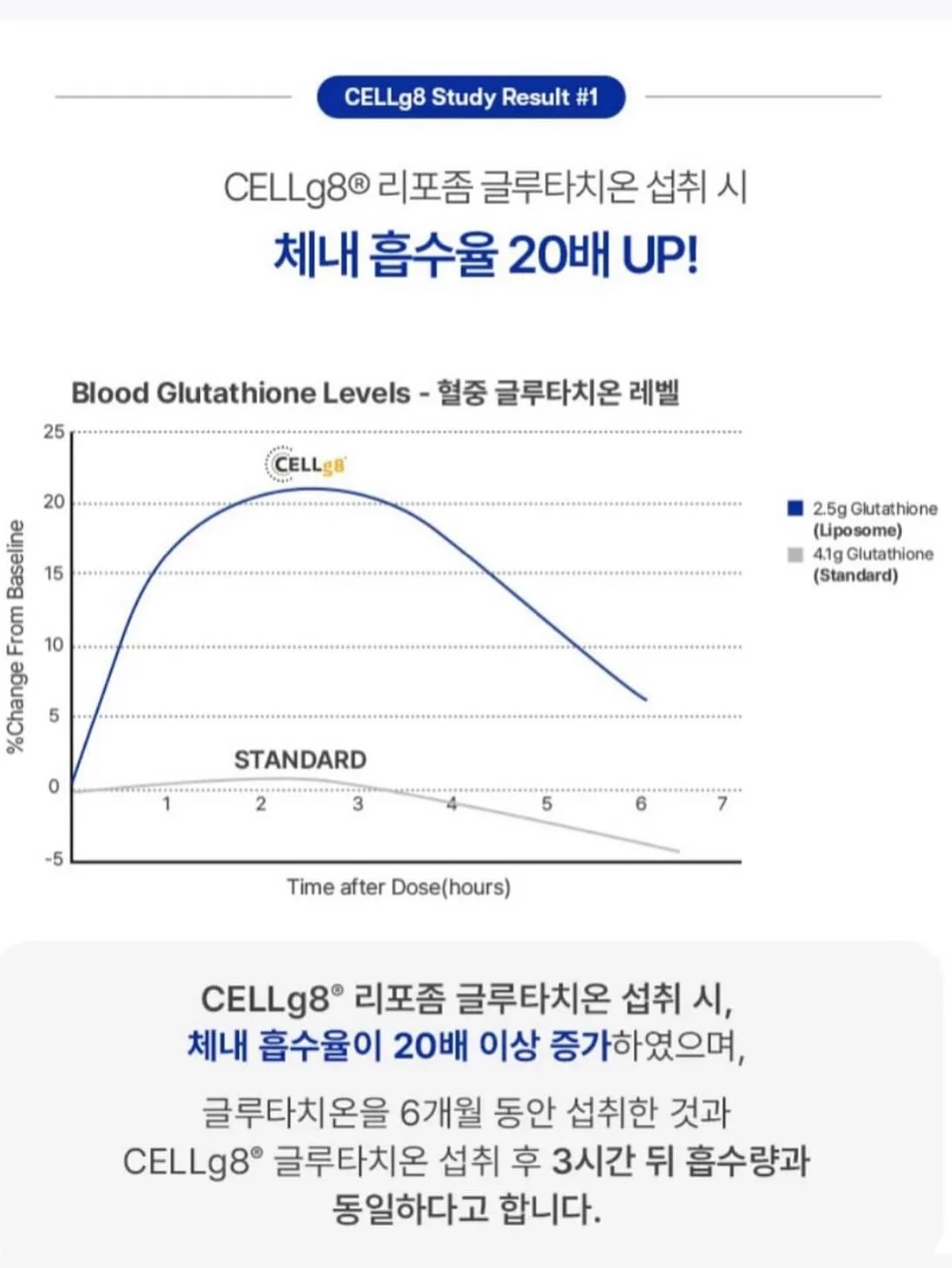 로엠 시스루 스커트 14