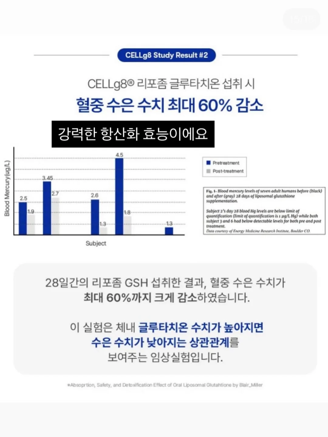 로엠 시스루 스커트 15