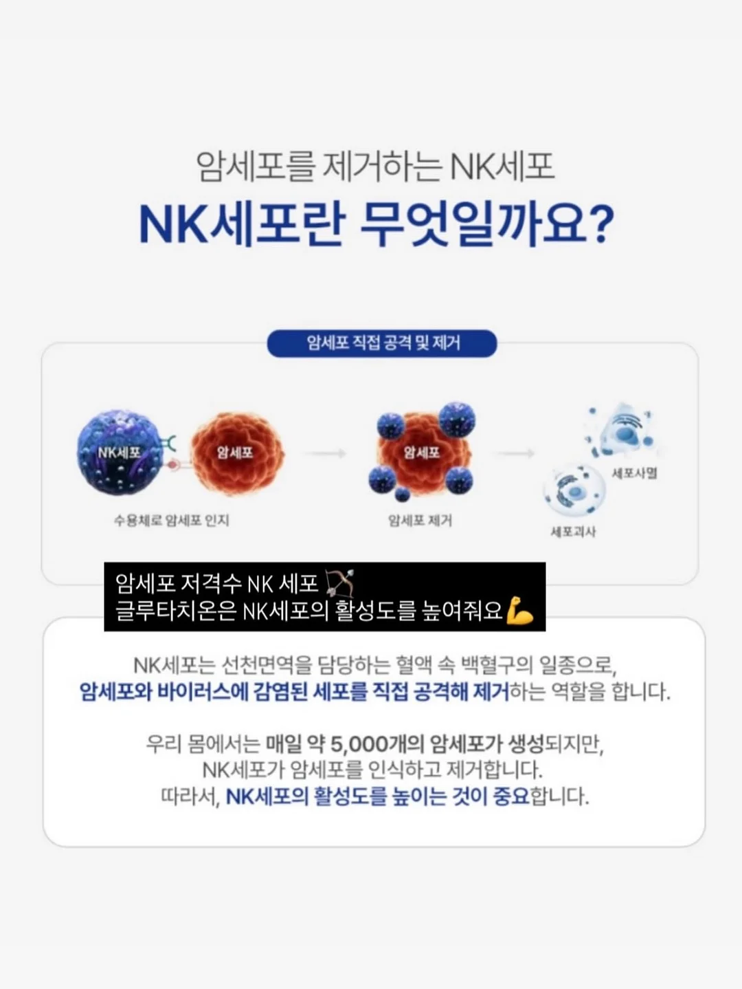 로엠 시스루 스커트 2
