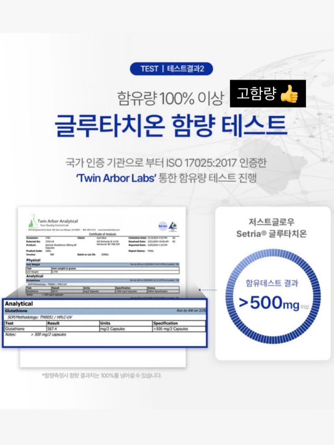 로엠 시스루 스커트 6