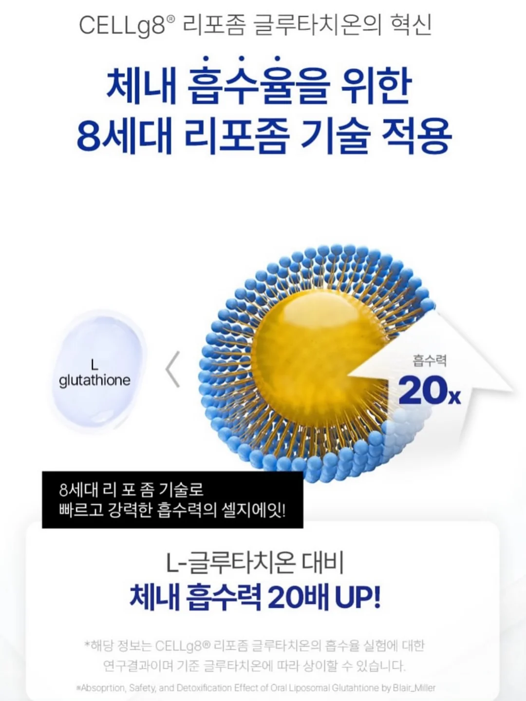 로엠 시스루 스커트 10