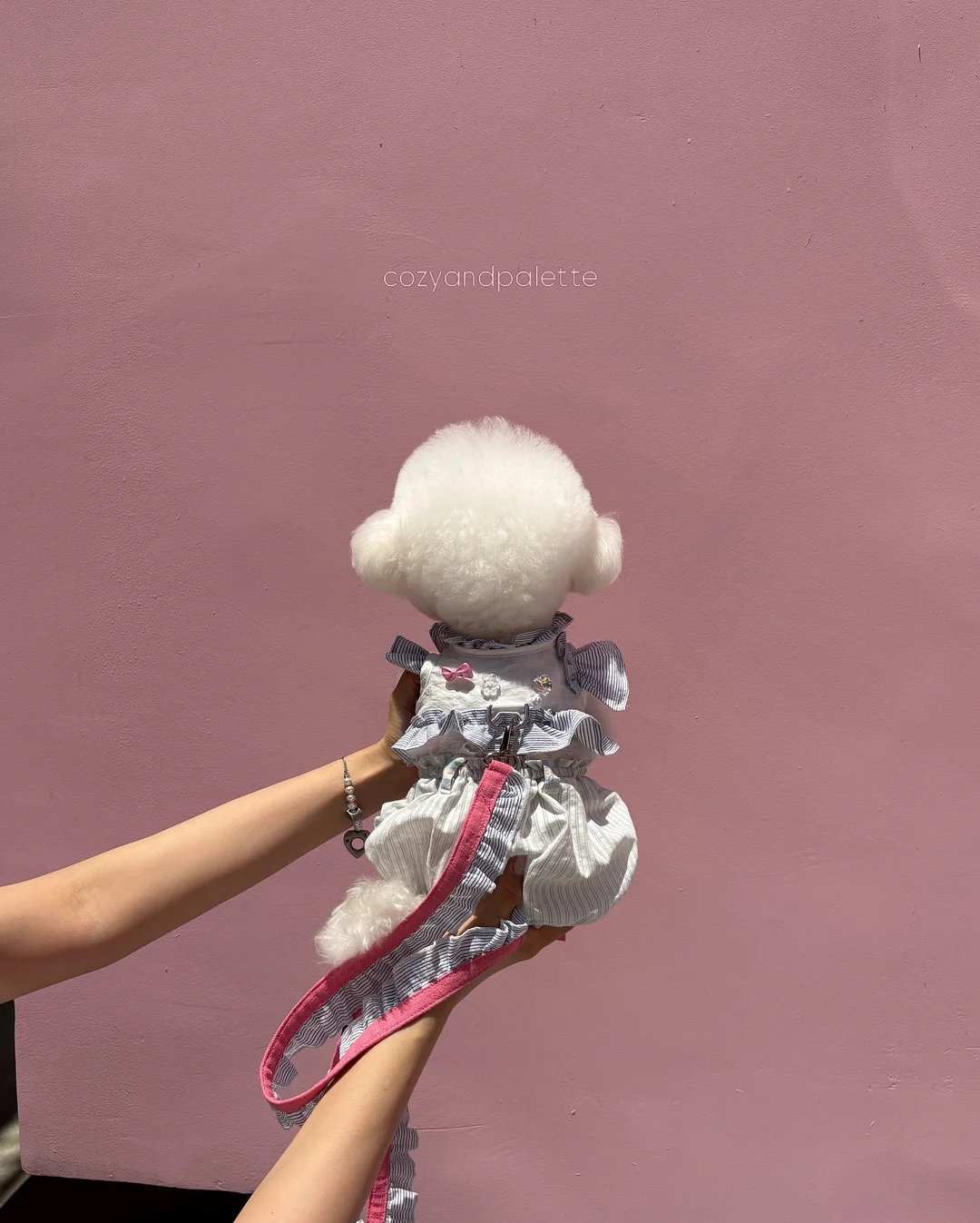 찰랑바지 2