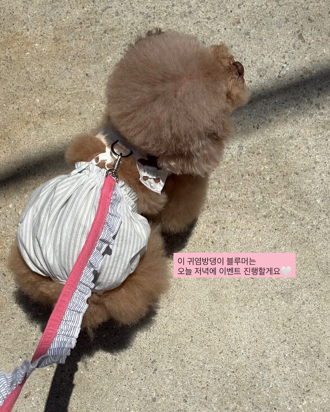 찰랑바지 6