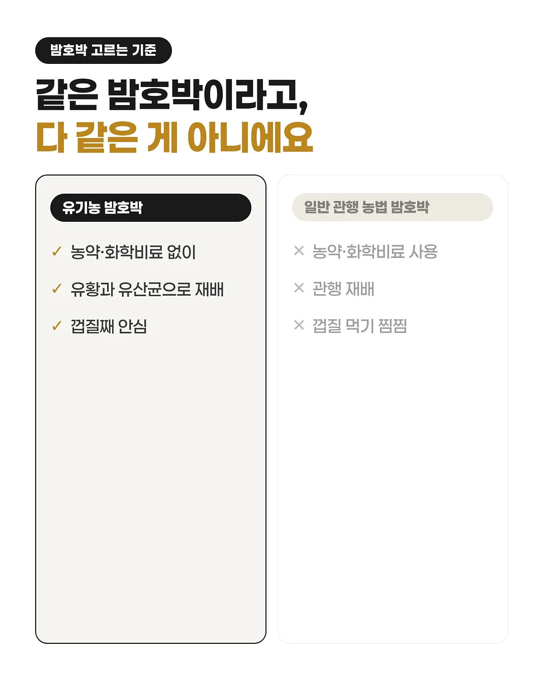 밤의 옷장 루베르 의상실 2: 쌍둥이 운동화 3