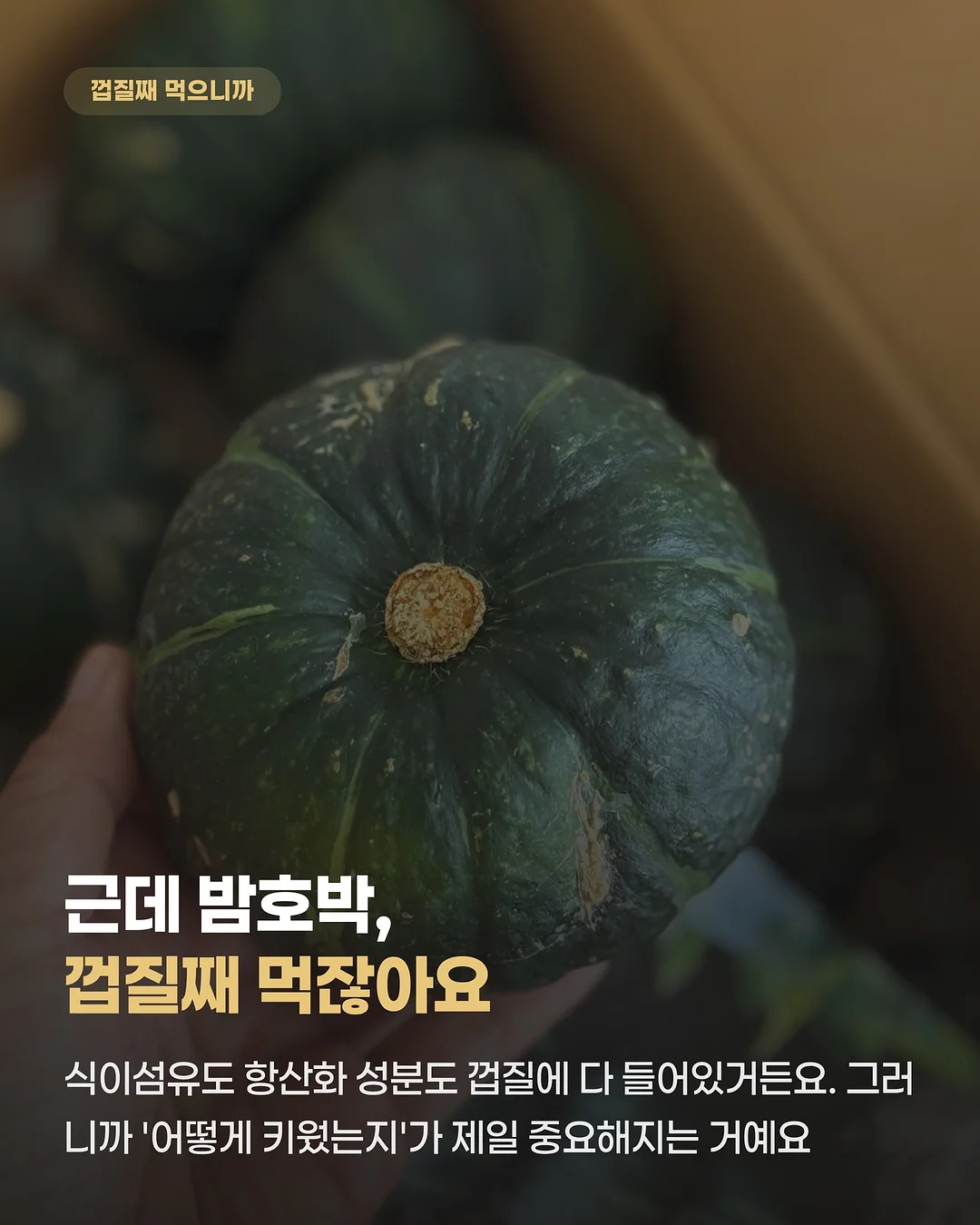 밤의 옷장 루베르 의상실 2: 쌍둥이 운동화 4