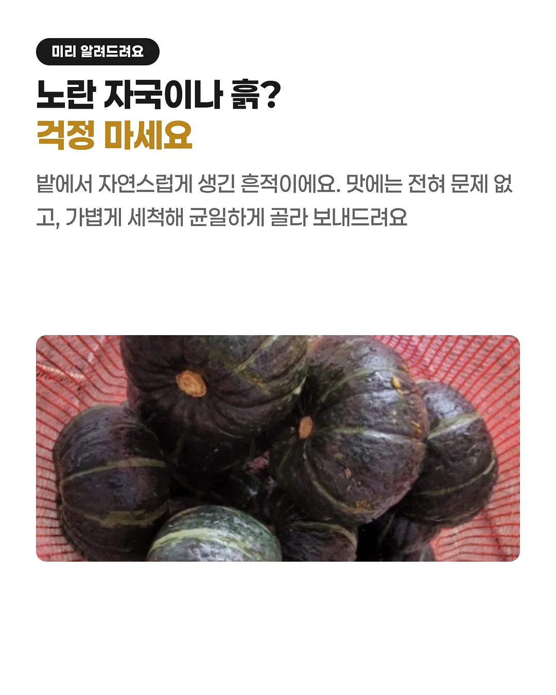 밤의 옷장 루베르 의상실 2: 쌍둥이 운동화 9