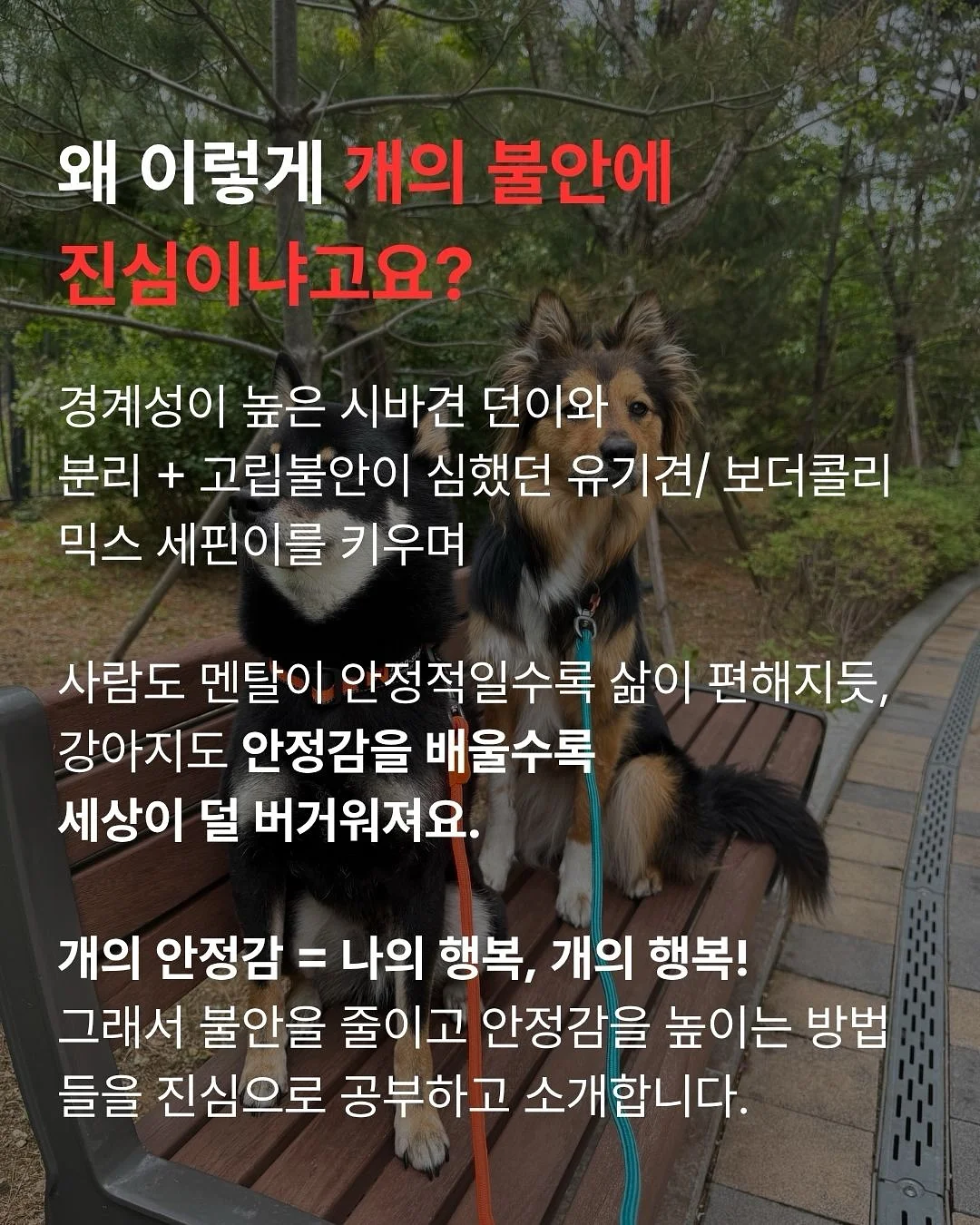아미 화이트 미들하트 맨투맨 11