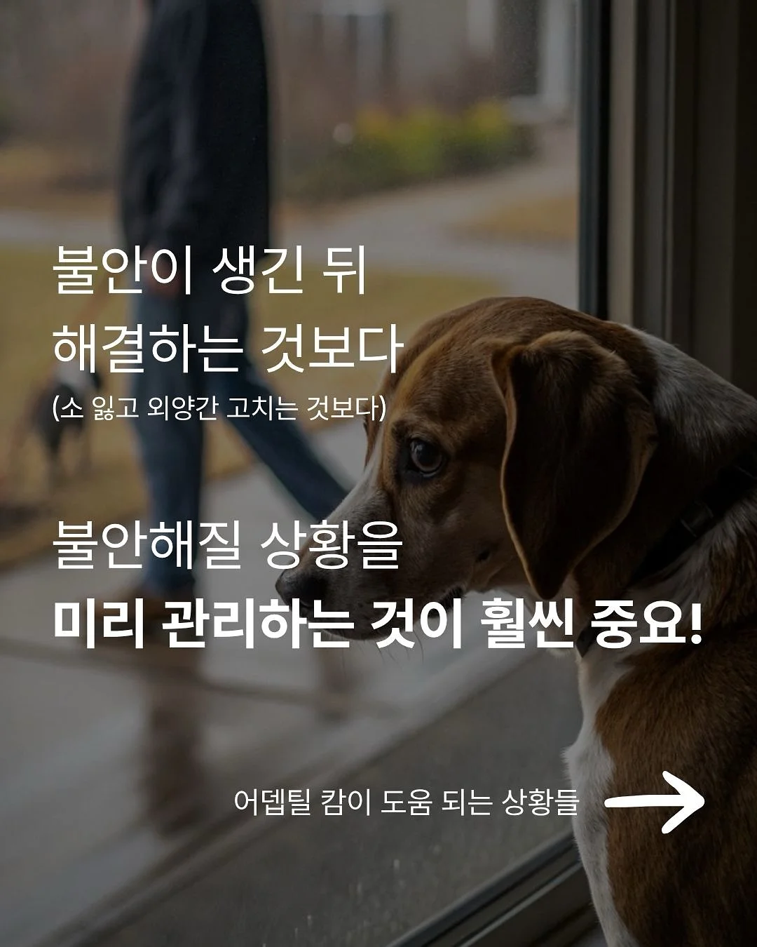 아미 화이트 미들하트 맨투맨 4