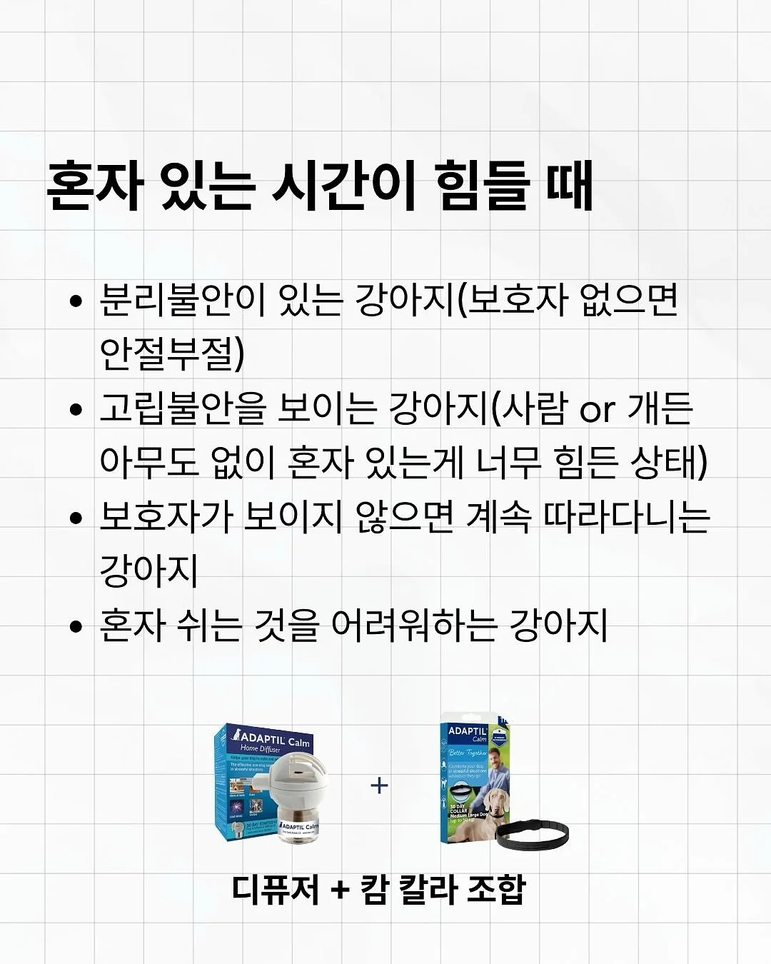 아미 화이트 미들하트 맨투맨 6