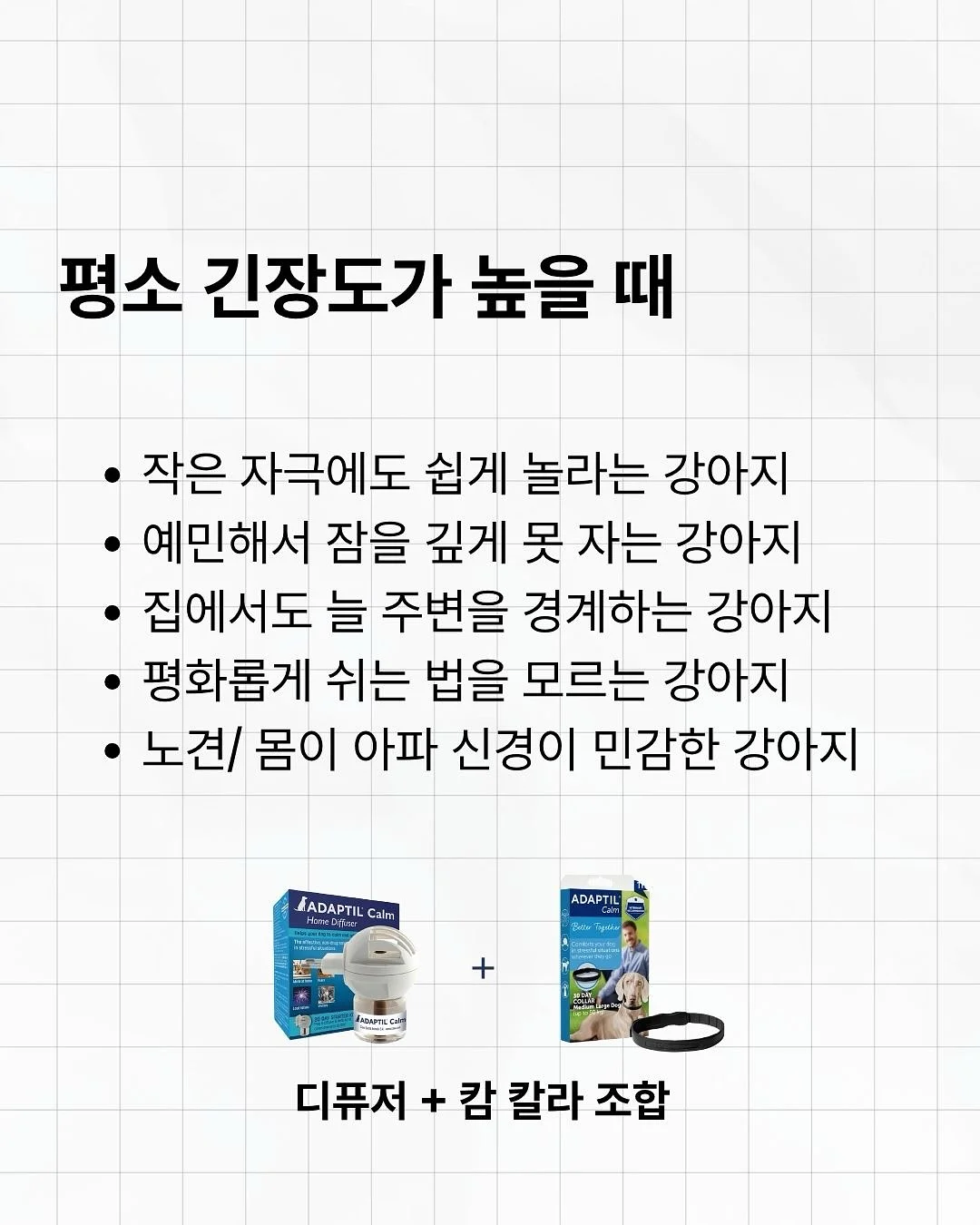 아미 화이트 미들하트 맨투맨 8