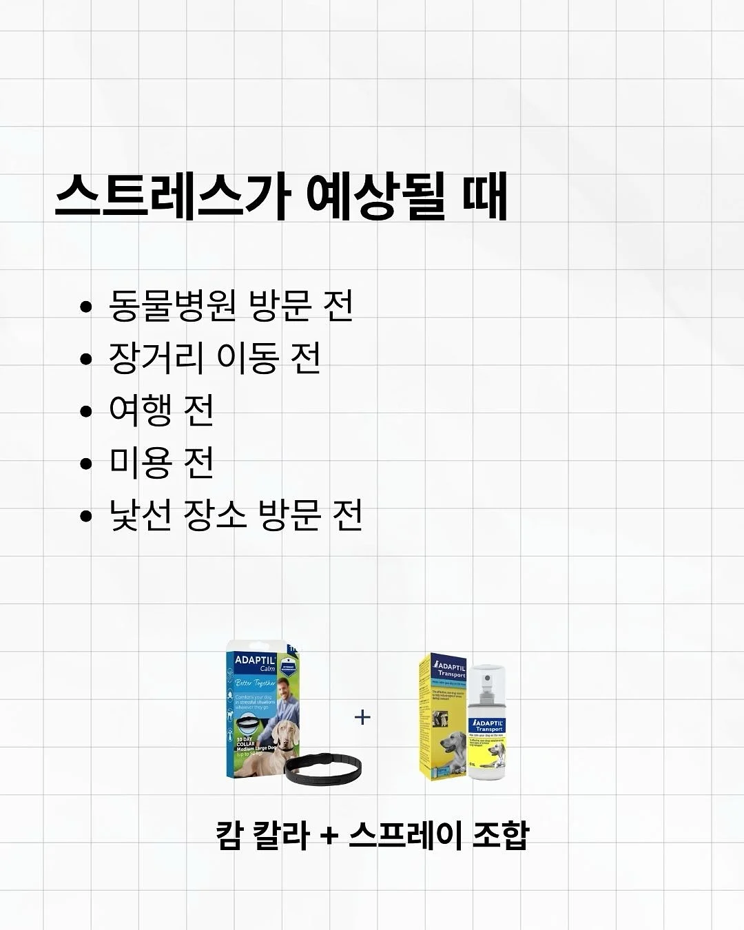 아미 화이트 미들하트 맨투맨 9