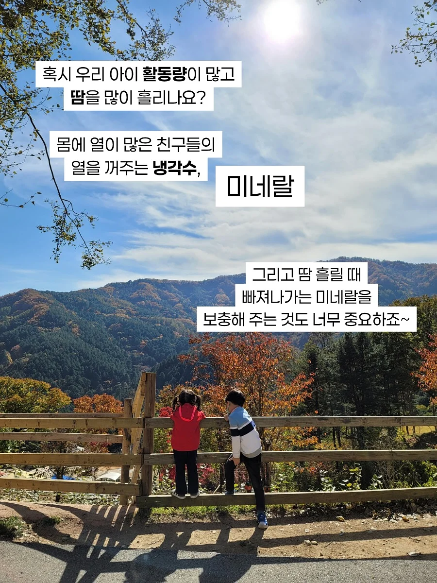 여름 티셔츠 6