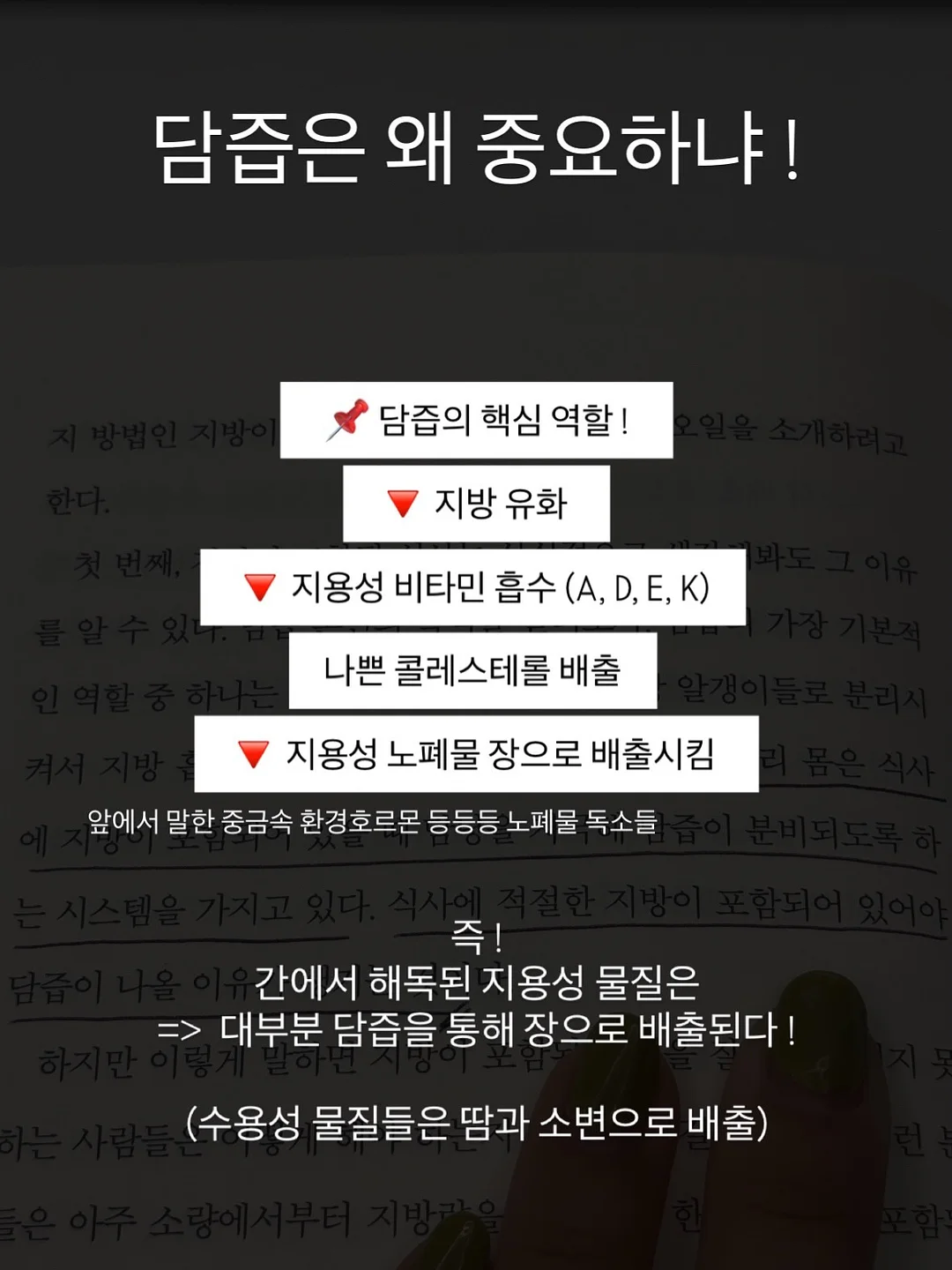 동물인형 냉감 바디필로우 11