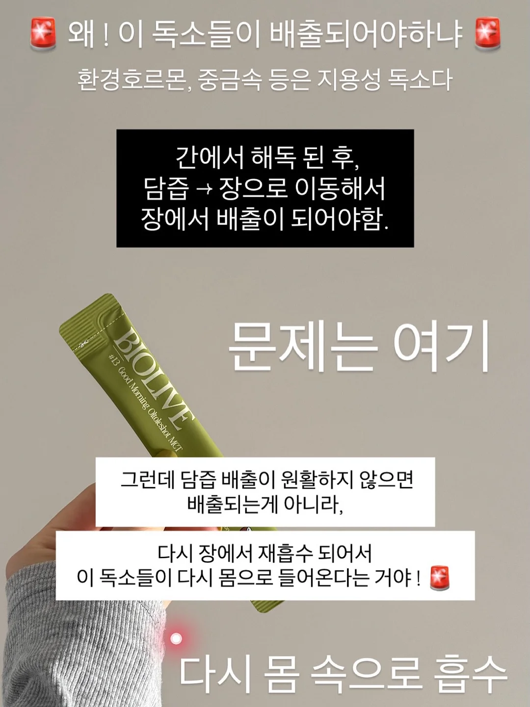 동물인형 냉감 바디필로우 13