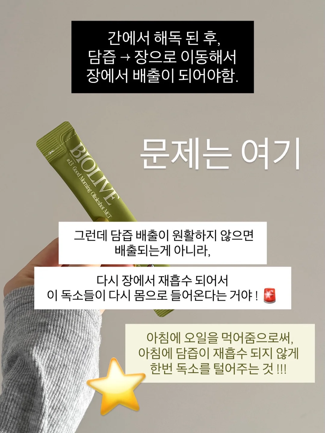 동물인형 냉감 바디필로우 14