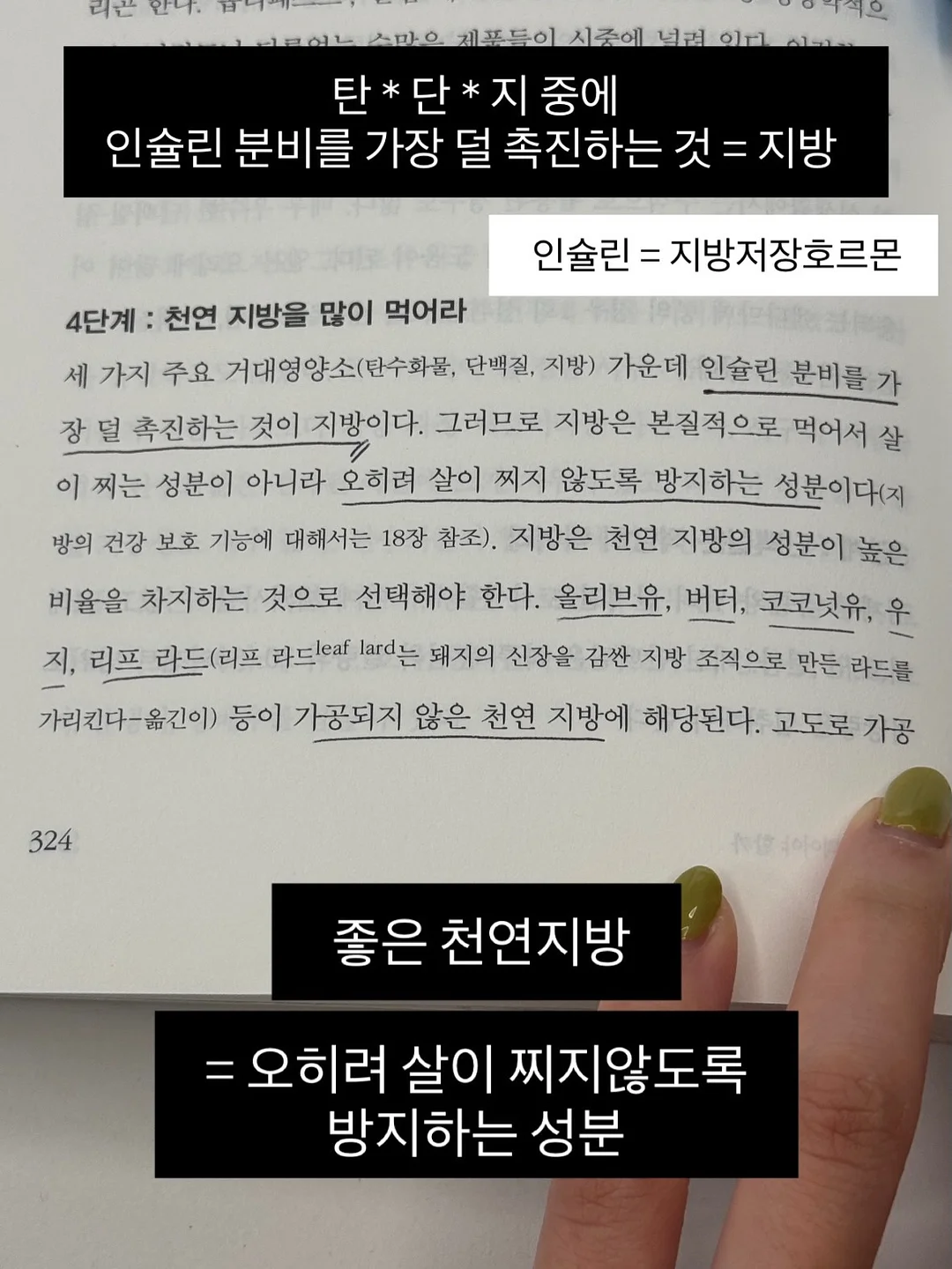 동물인형 냉감 바디필로우 17