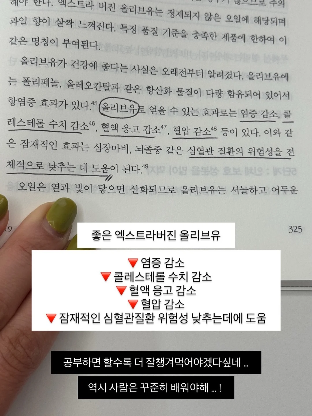동물인형 냉감 바디필로우 18