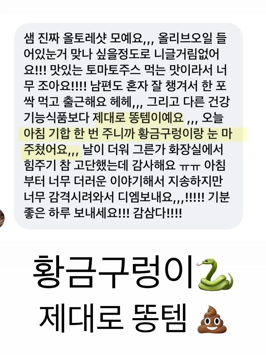 동물인형 냉감 바디필로우 2