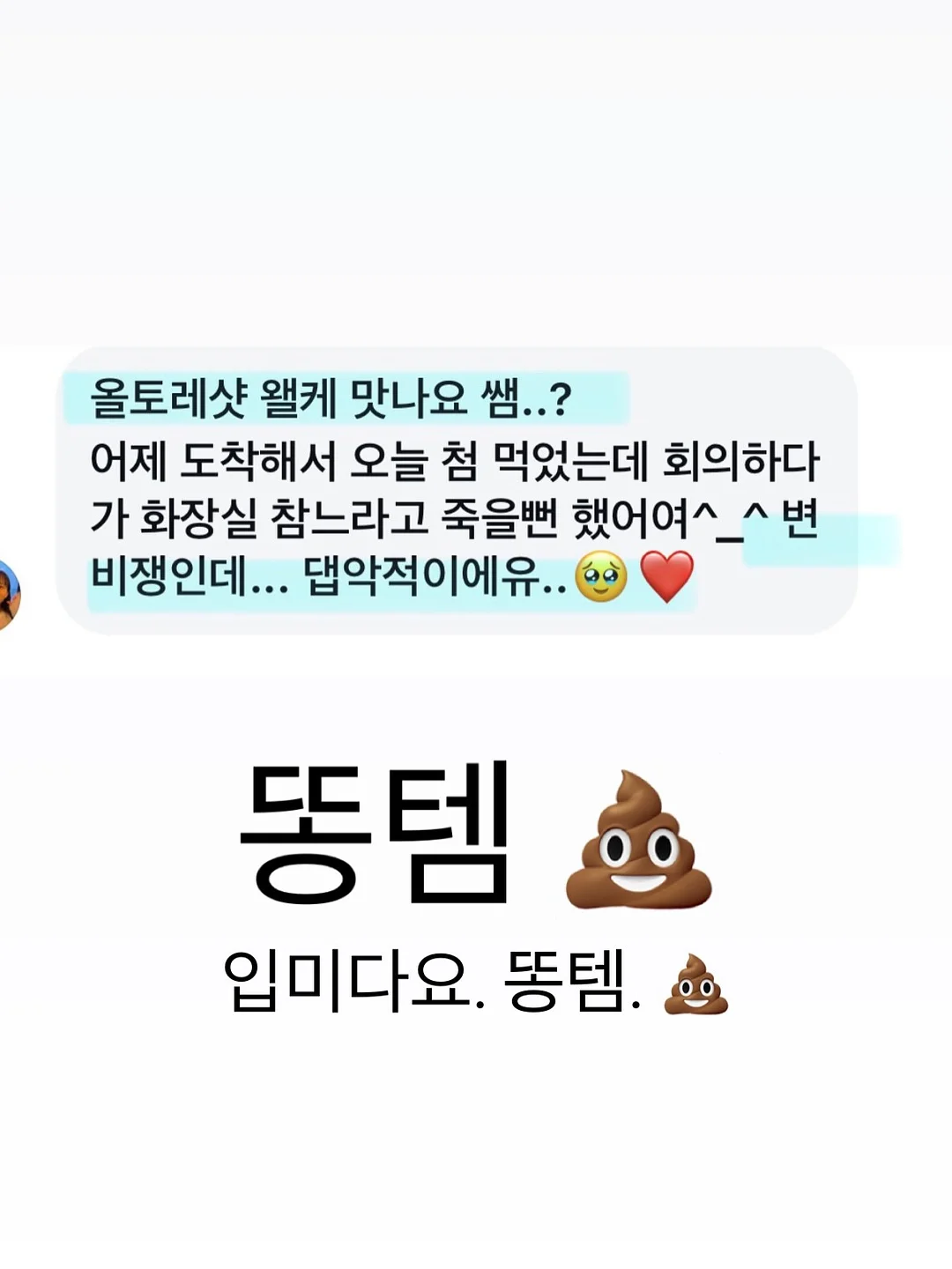 동물인형 냉감 바디필로우 4