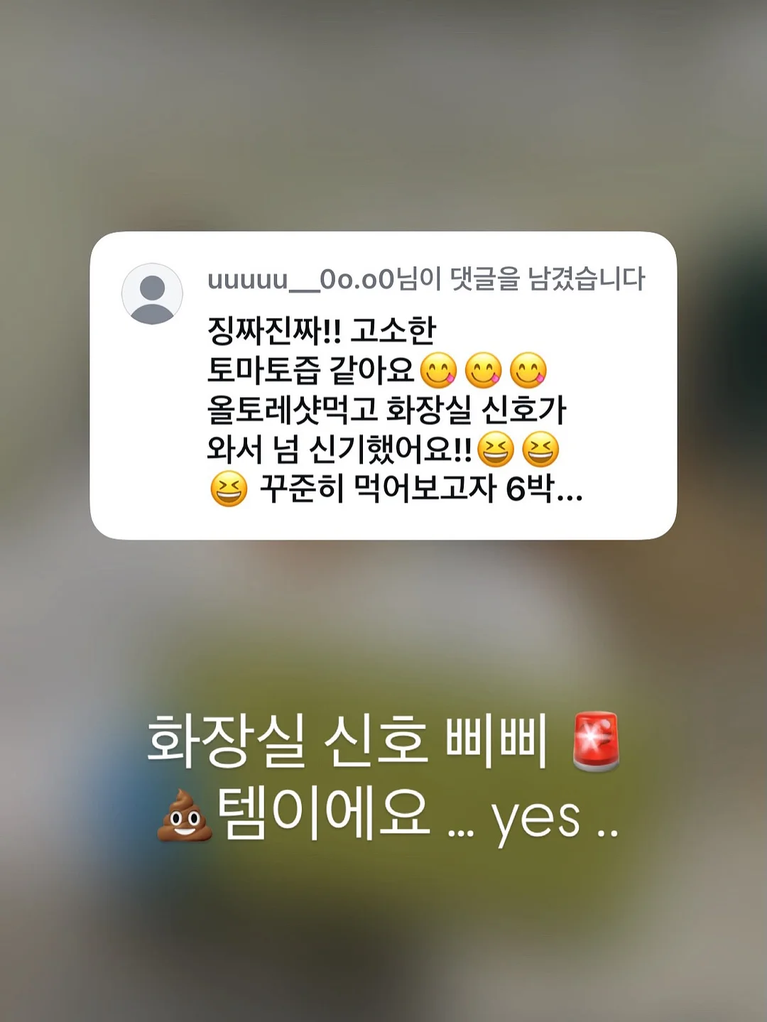 동물인형 냉감 바디필로우 5
