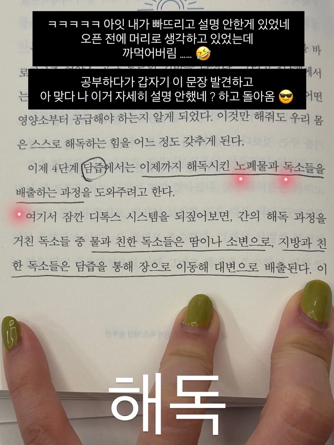 동물인형 냉감 바디필로우 7