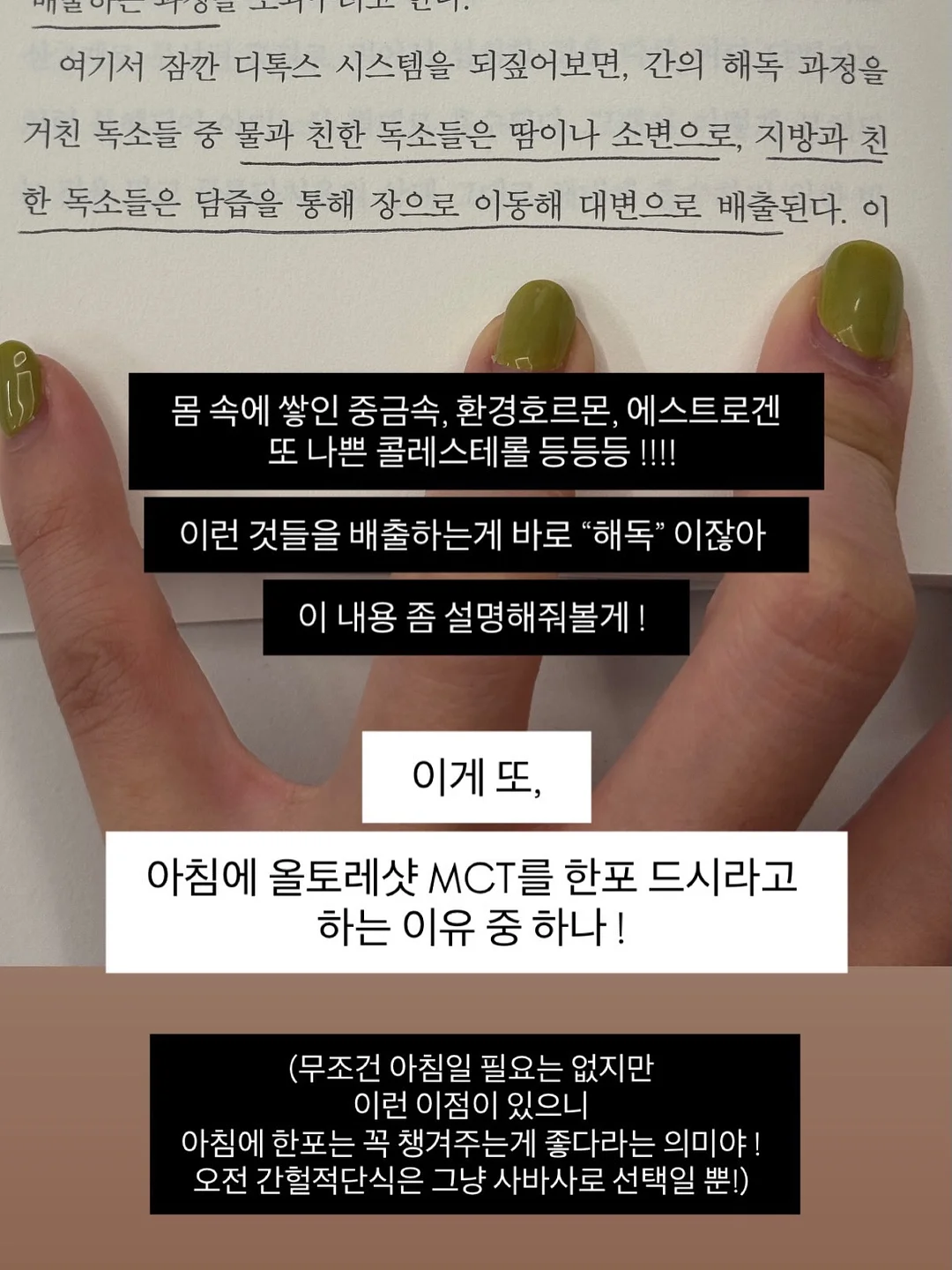 동물인형 냉감 바디필로우 8