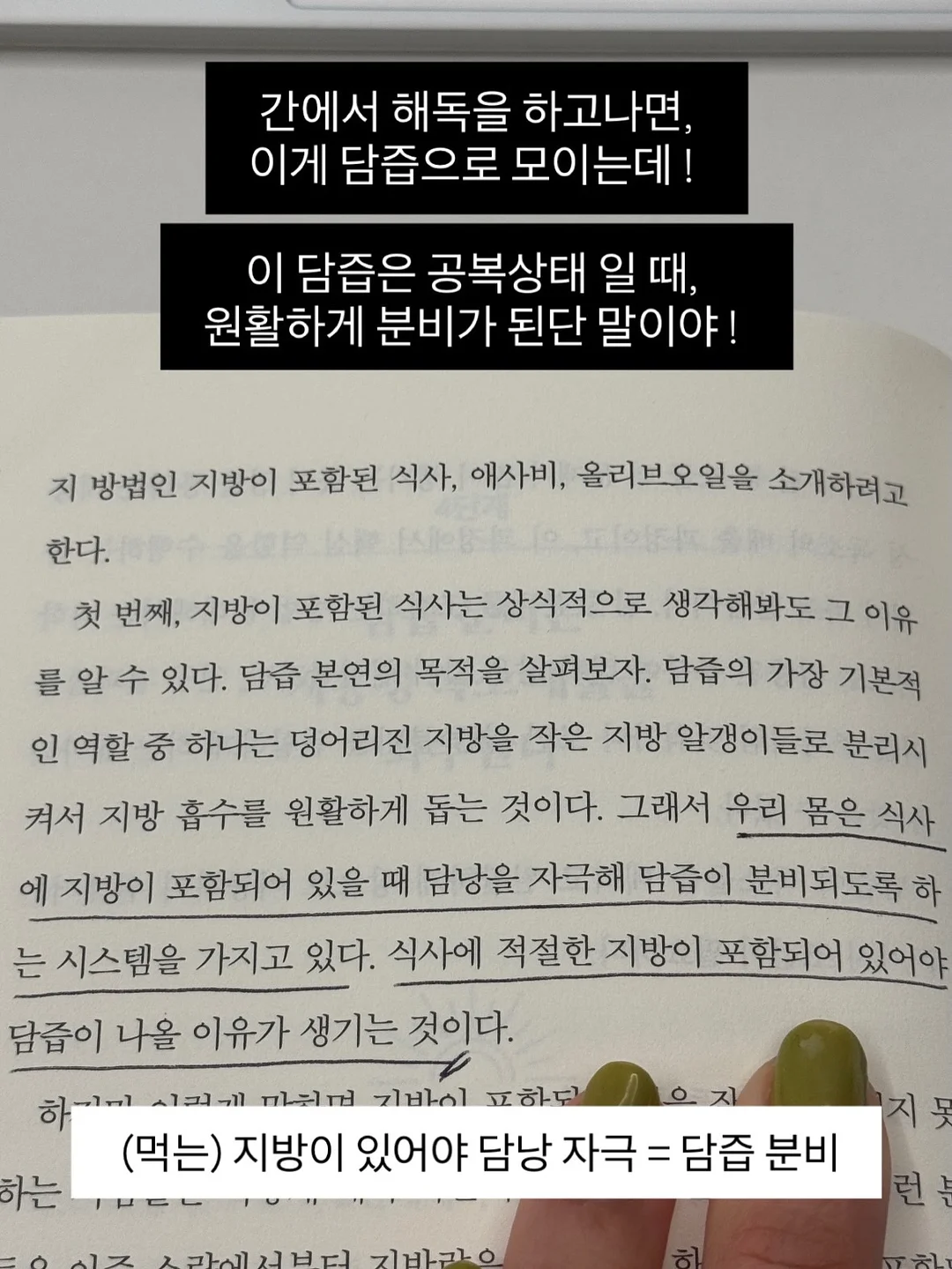 동물인형 냉감 바디필로우 9