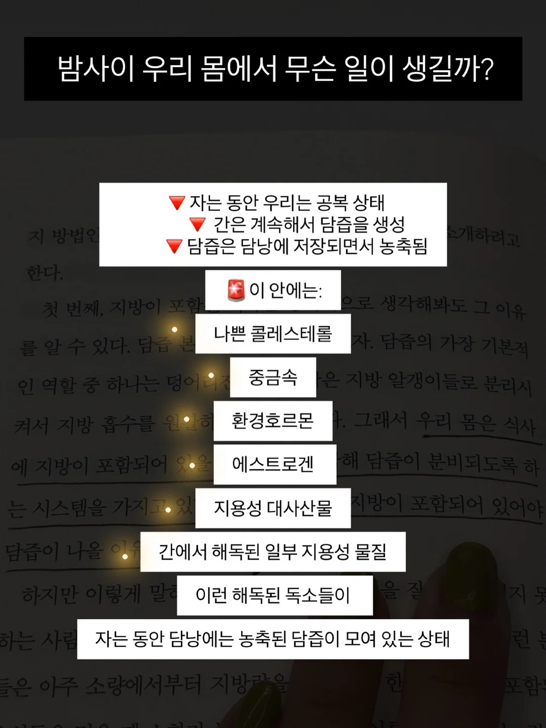 동물인형 냉감 바디필로우 10